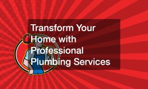 Transform Your Home with Professional Plumbing Services