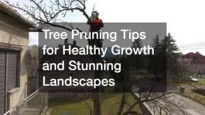 Tree Pruning Tips for Healthy Growth and Stunning Landscapes