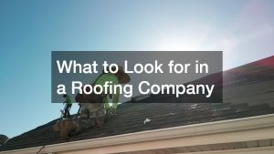 What to Look for in a Roofing Company